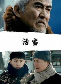 精品视频一区二区